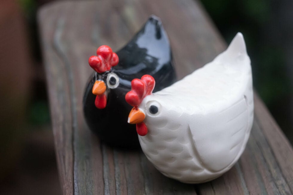 Week 39 - chicken