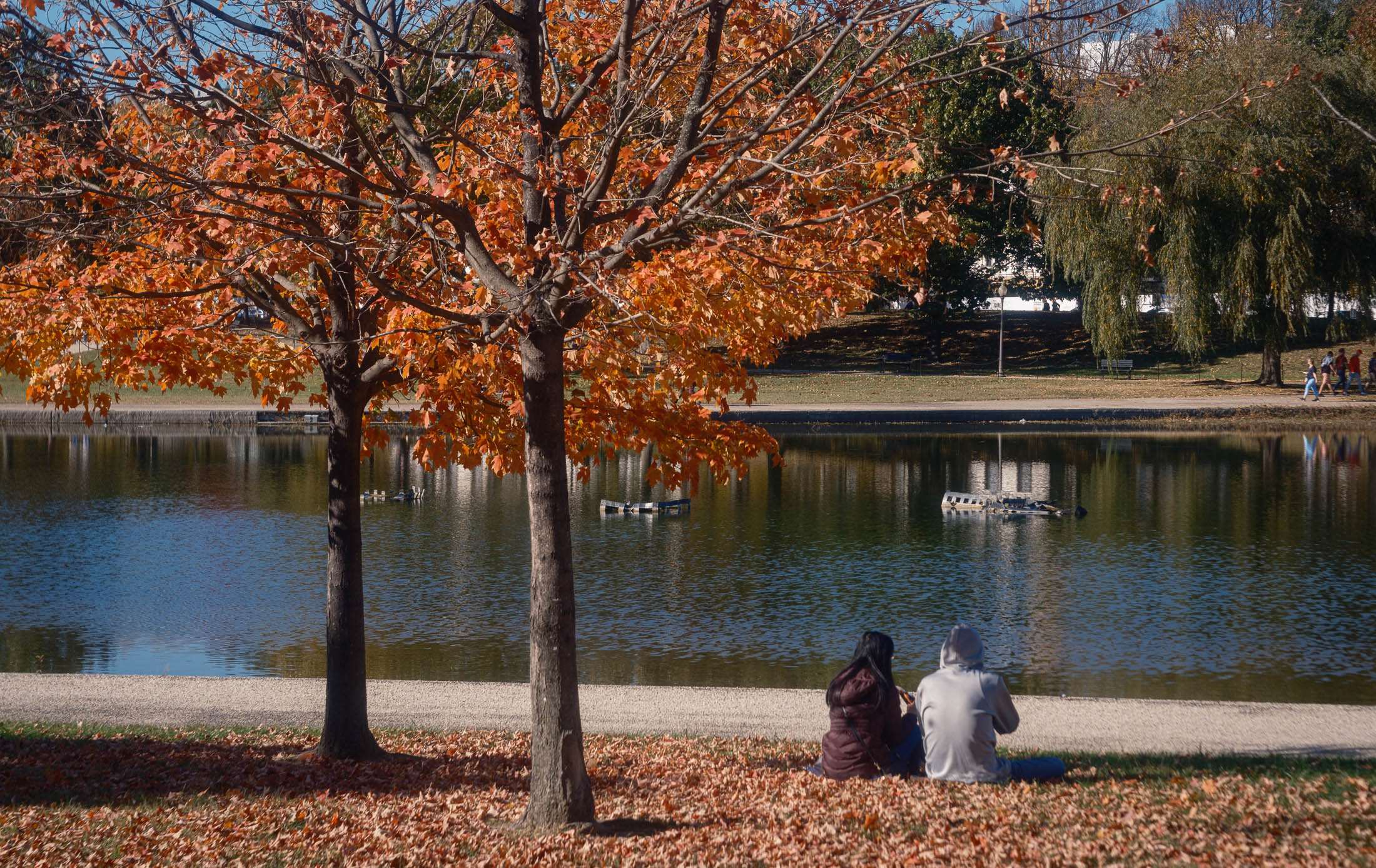 Fall-2024 Washington d. C constitution gardens