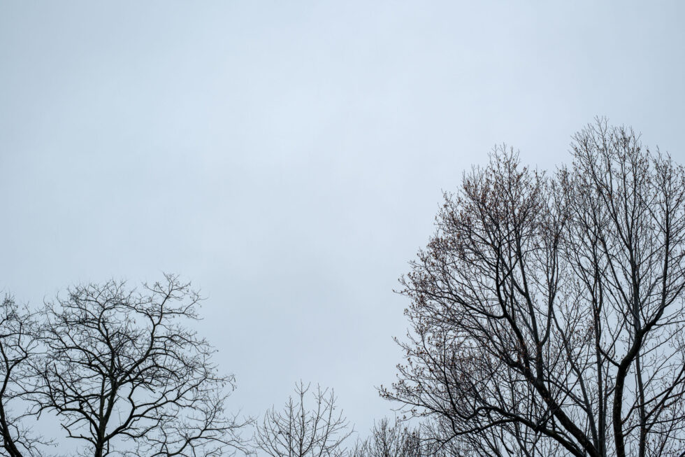 Week - 5: blue blue gray
