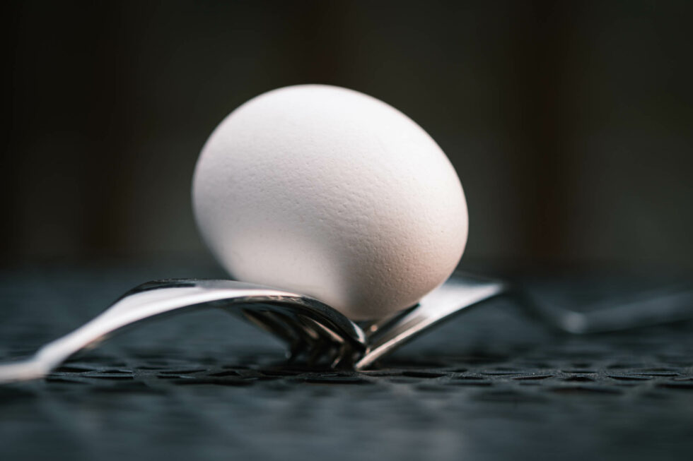 Week 11 - egg