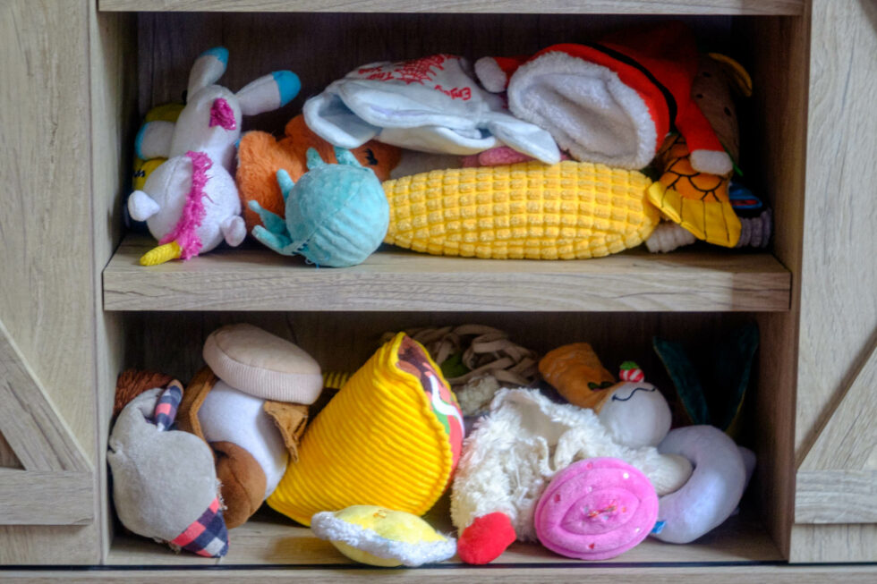 Week 17 - cramped