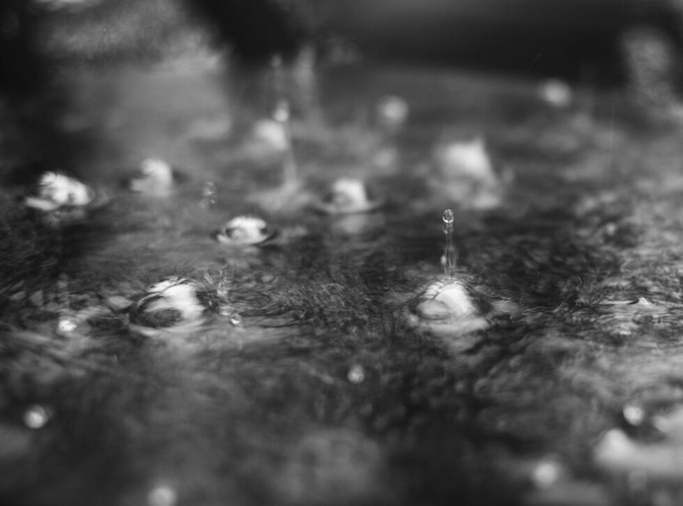 Week 20-water