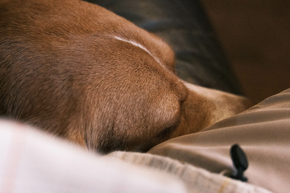 Week 21 - high iso