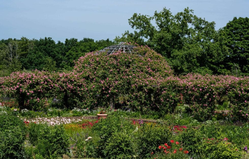 A visit to the rosenhöhe in darmstadt