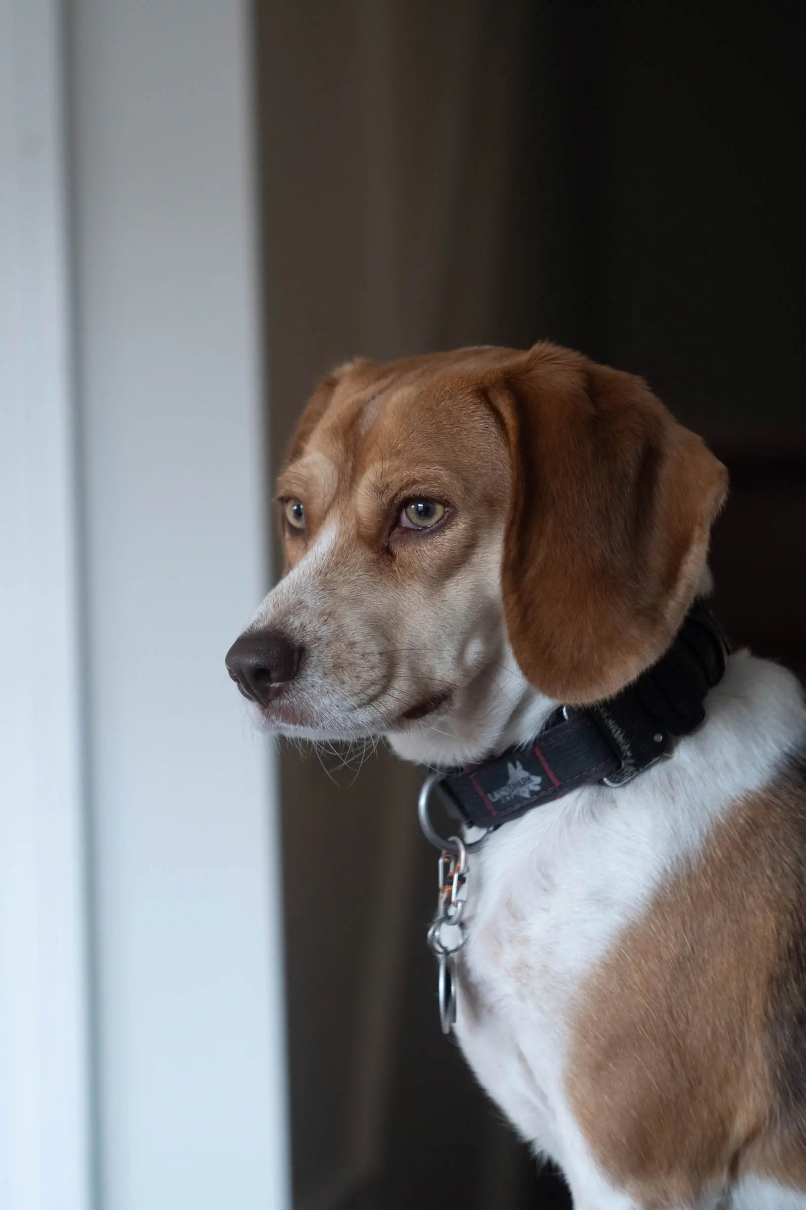 Betty's portrait with the helios 44-3 Betty's portrait with the helios 44-3
