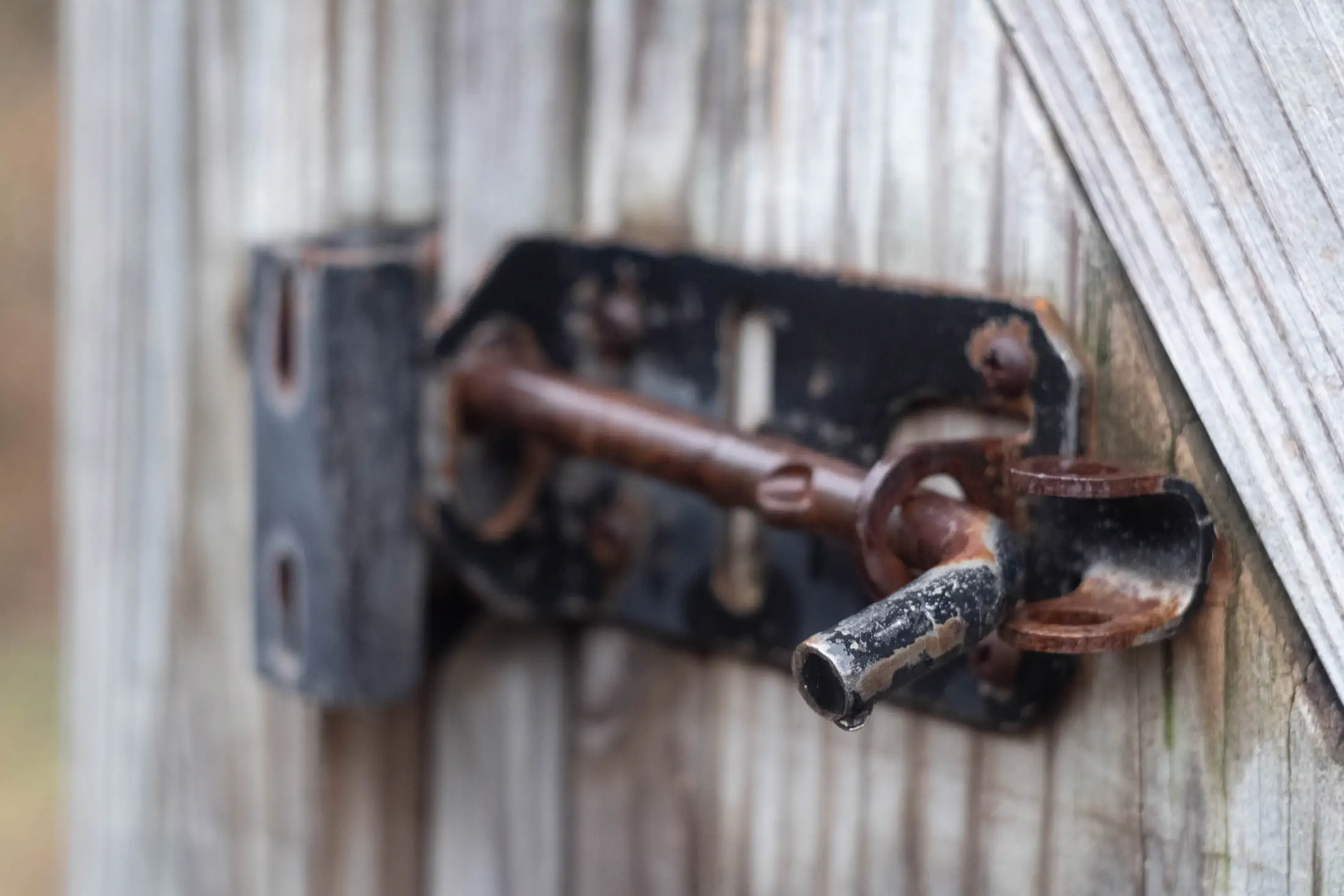 Old, rusted back yard gate lock Old, rusted back yard gate lock